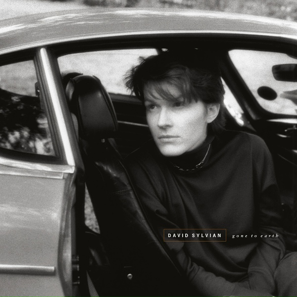 Обложка: David Sylvian - The Healing Place