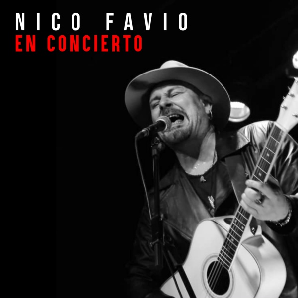 Обложка: Nico Favio - Canción de Juventud