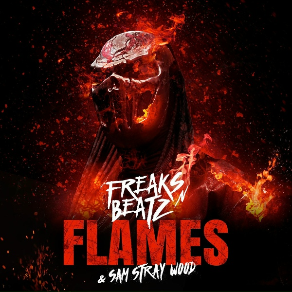 Обложка: Freaks'n'Beatz - Flames (Freaks Army Radio Dub Mix)
