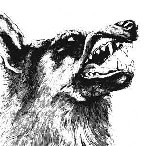 Обложка: Crippled Black Phoenix - Burning Bridges