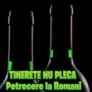 Обложка: Petrecere la Romani - CE-AM FĂCUT CU VIAȚA MEA