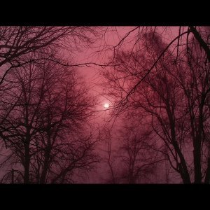 Обложка: slowandspeed - Going Insane