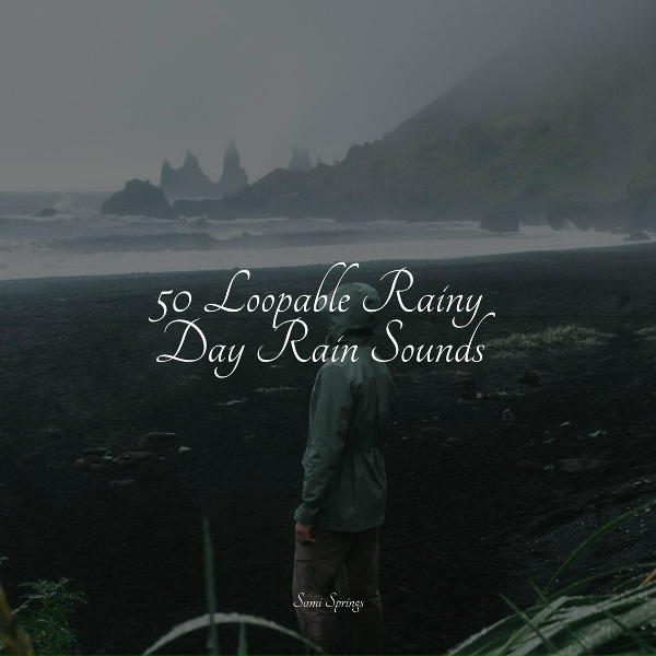 Обложка: Nature Sounds, Sonido Del Bosque y Naturaleza, It's Raining - Medium Campfire