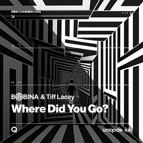 Обложка: Bobina, Tiff Lacey - Where Did You Go? (Chill Night Mix)