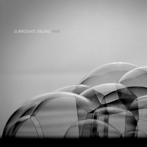 Обложка: Surrogate Sibling - Lume