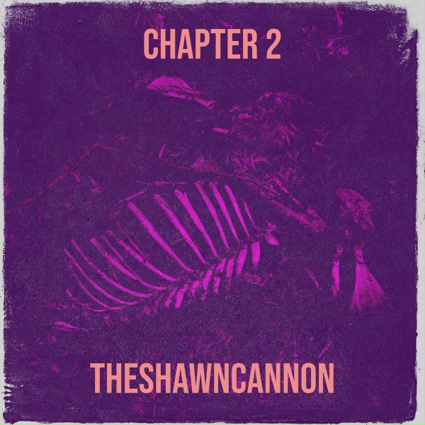 Обложка: TheShawnCannon - The Villain