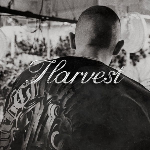 Обложка: Фаст Альберто - Harvest