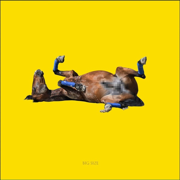 Обложка: BIG RUSSIAN BOSS, SQWOZ BAB, Young P&H - BIG SIZE