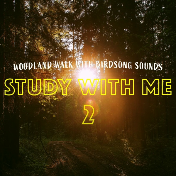 Обложка: Bryan Maxwell - Woodland Walk with Birdsong Sounds, Pt. 12
