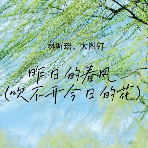 Обложка: 林昕瑶, 大图钉 - 昨日的春风（吹不开今日的花）