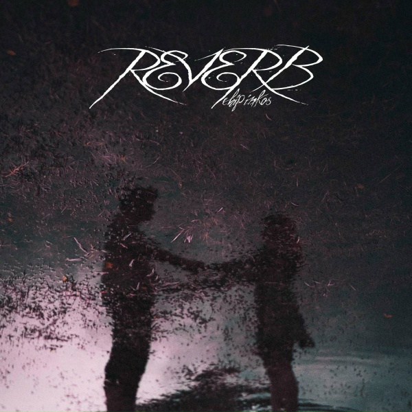 Обложка: Chipinkos - Reverb