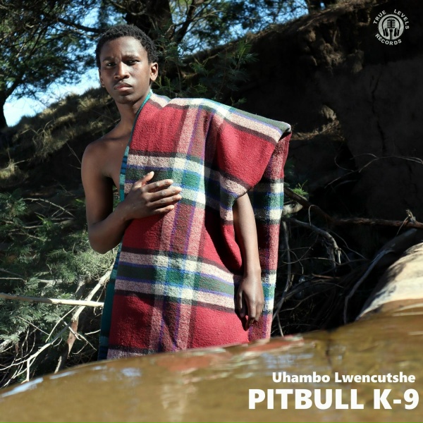 Обложка: Pitbull K-9, TLR DezZ, AYA Da Main - Uphoncuka Bemphethe