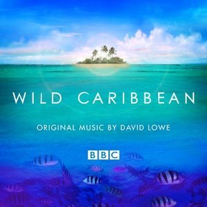 Обложка: David Lowe - White Treasure