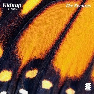 Обложка: Kidnap feat. Leo Stannard - Grow