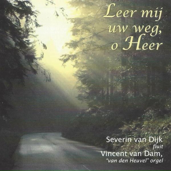 Обложка: Severin van Dijk, Vincent van Dam - Liefde was onuitputtelijk