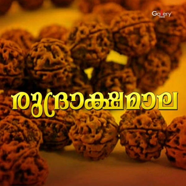 Обложка: Akhilesh Kaduppasseri - Adadumayiladad