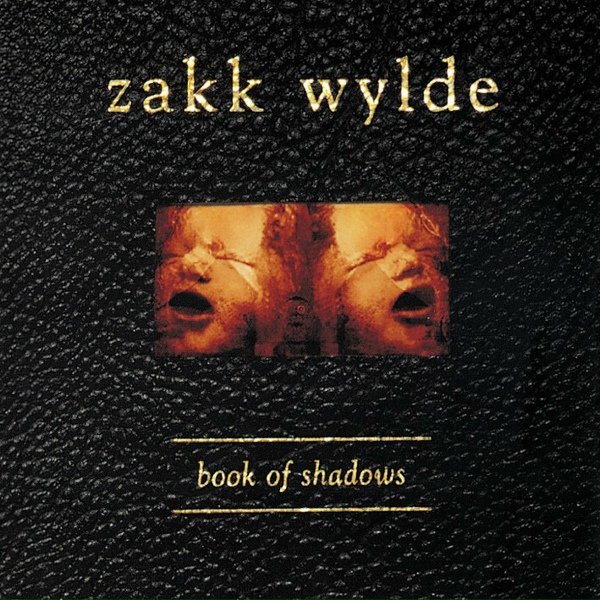Обложка: Zakk Wylde - Sold My Soul