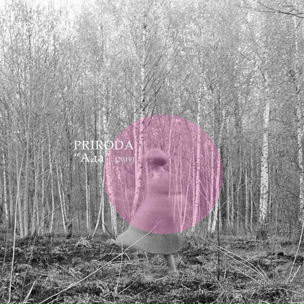 Обложка: Priroda - В леса