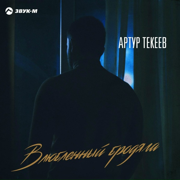 Обложка: Артур Текеев - Влюбленный бродяга