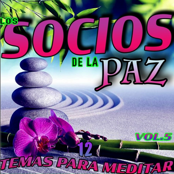 Обложка: Los Socios De La Paz - Amante De Ocasión