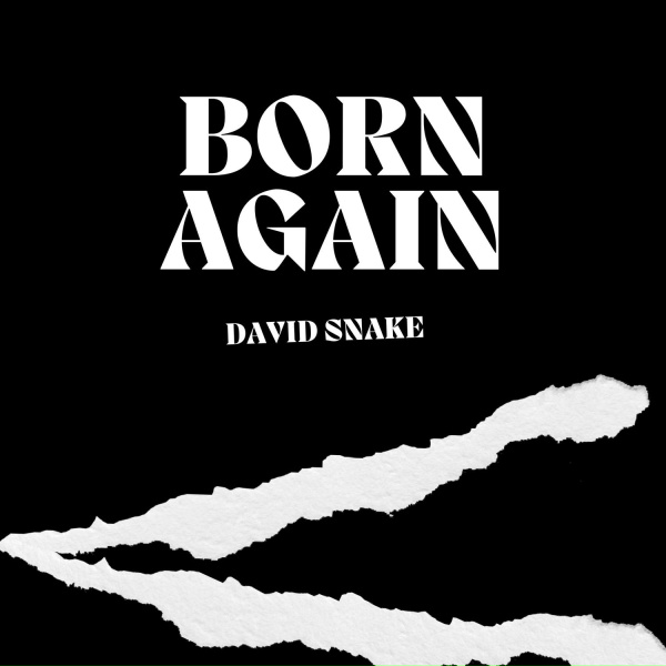 Обложка: David Snake - Deeper