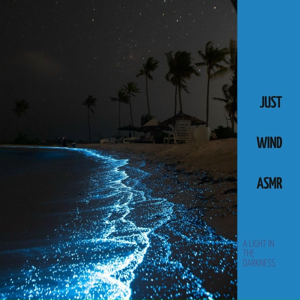 Обложка: A Light in the Darkness - Wind in Light Storm