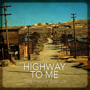 Обложка: The Harum Scarum - Take What You Want