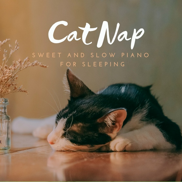 Обложка: Piano Cats - The Ballad of the Cats Nap