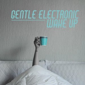Обложка: Deep Lounge, Total Chill Out Empire - Stereophonic