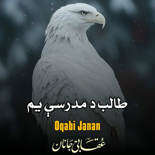 Обложка: Oqabi Janan - عقابي جانان شعرونه
