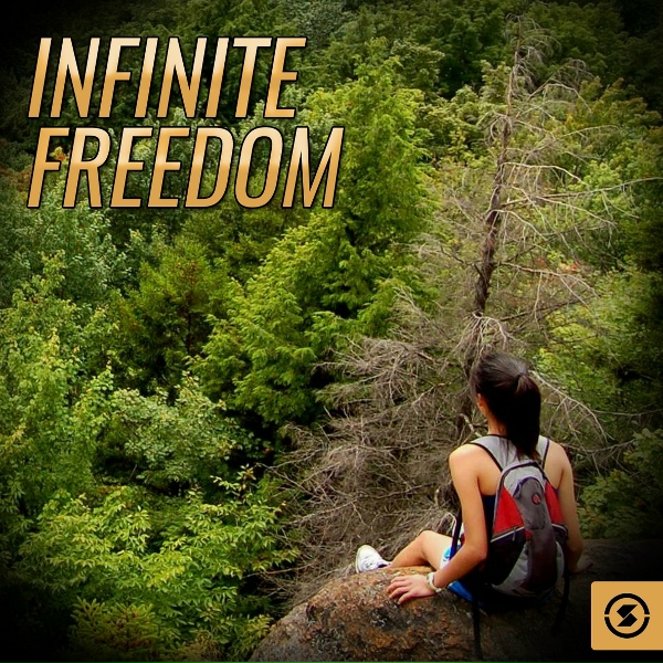 Обложка: The Express Team - Infinitive Sight