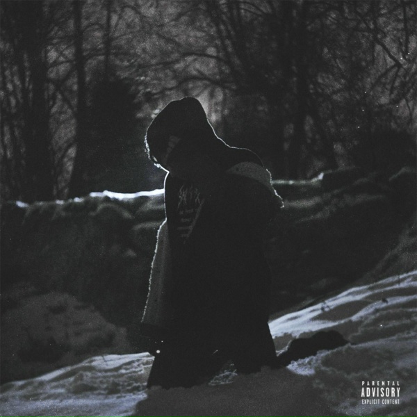 Обложка: LIZER - Хрусталь