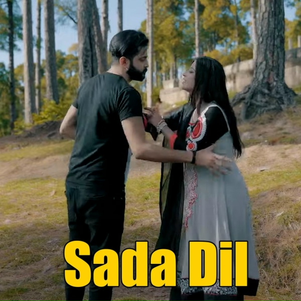Обложка: Tanveer Anjum - Sada Dil