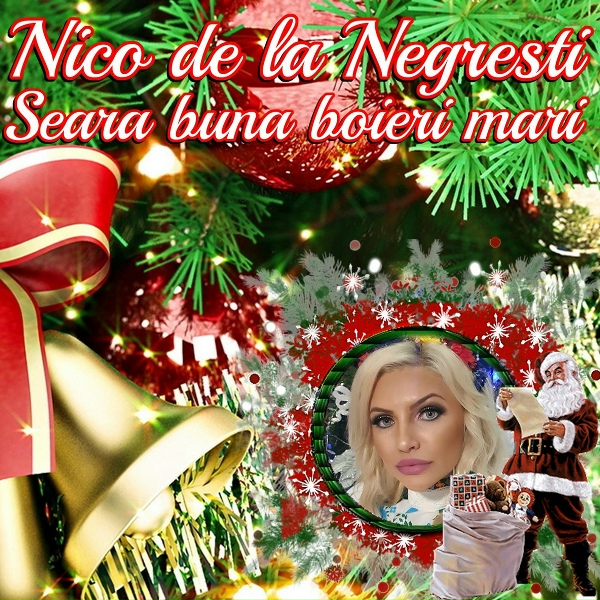 Обложка: Nico de la Negresti - Pregateste Gazda Masa