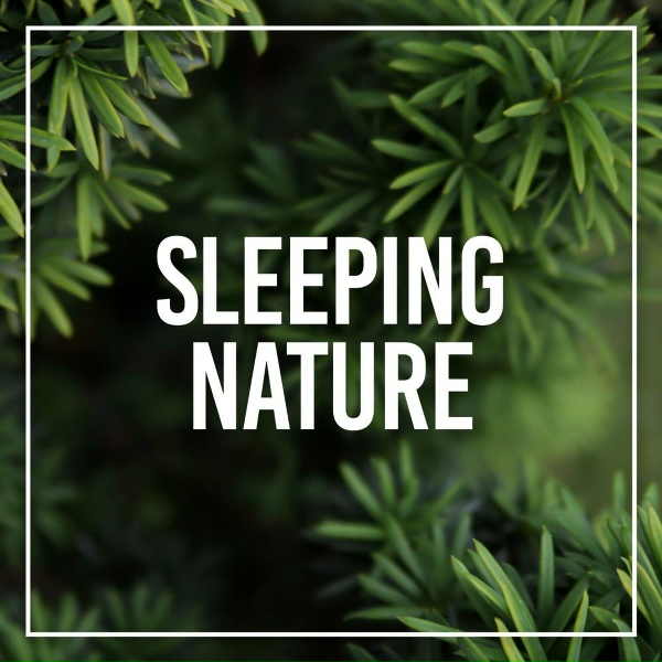 Обложка: Rain Sounds Nature Collection - Thunderstorm