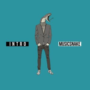 Обложка: MusicSnake - Снегодоска