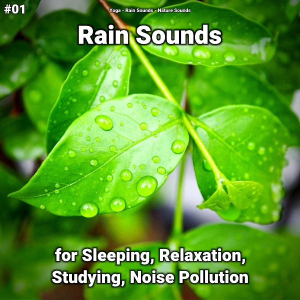 Обложка: Yoga, Rain Sounds, Nature Sounds - Stunning Rain
