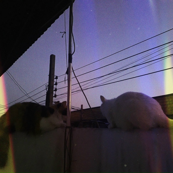 Обложка: Image K. - เดินเล่น