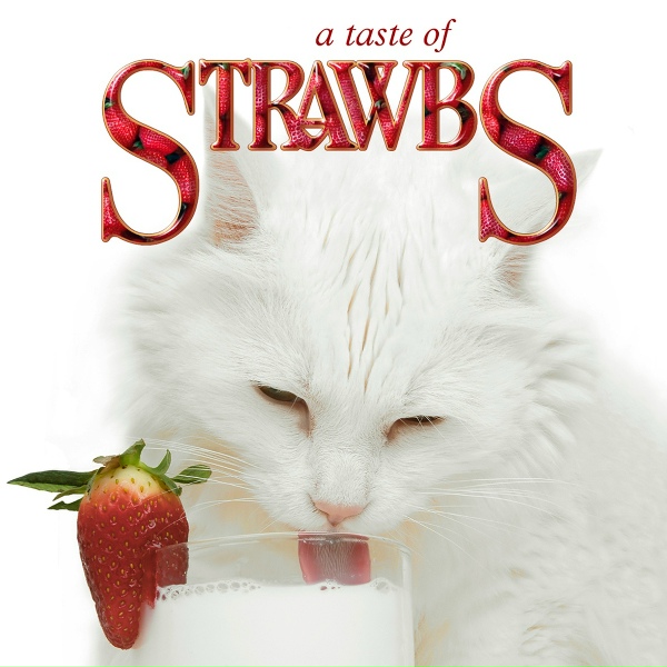 Обложка: Strawbs - Ghosts