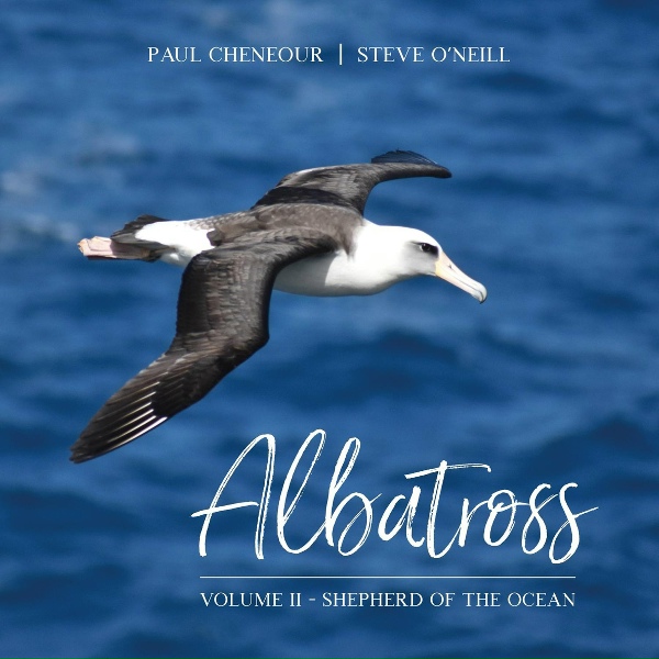 Обложка: Paul Cheneour, Steve O'Neill - Searching For Shapes