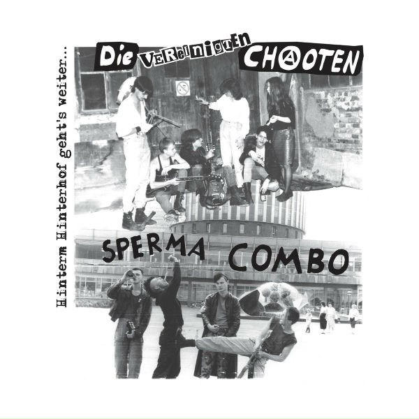 Обложка: Die Vereinigten Chaoten - Desinteresse