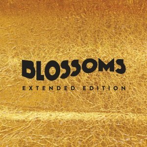 Обложка: Blossoms - Charlemagne