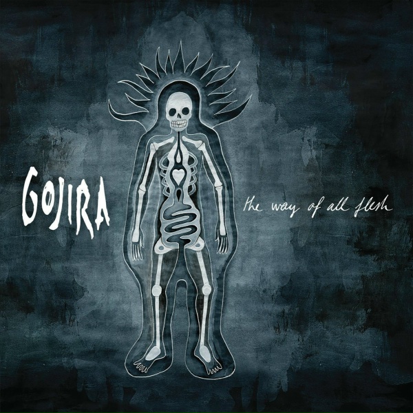 Обложка: Gojira - Vacuity