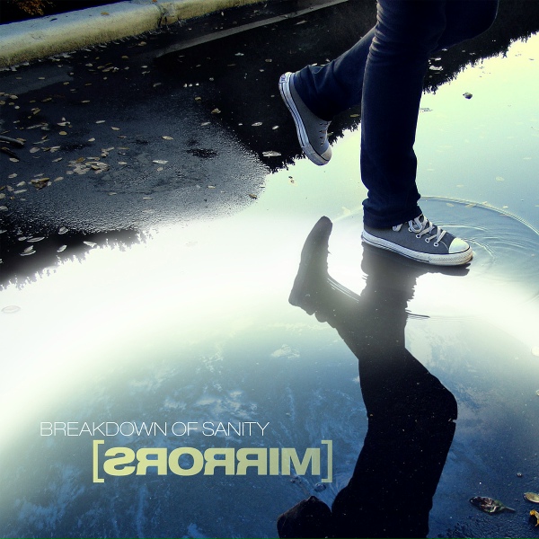 Обложка: Breakdown of Sanity - We Are the Wall