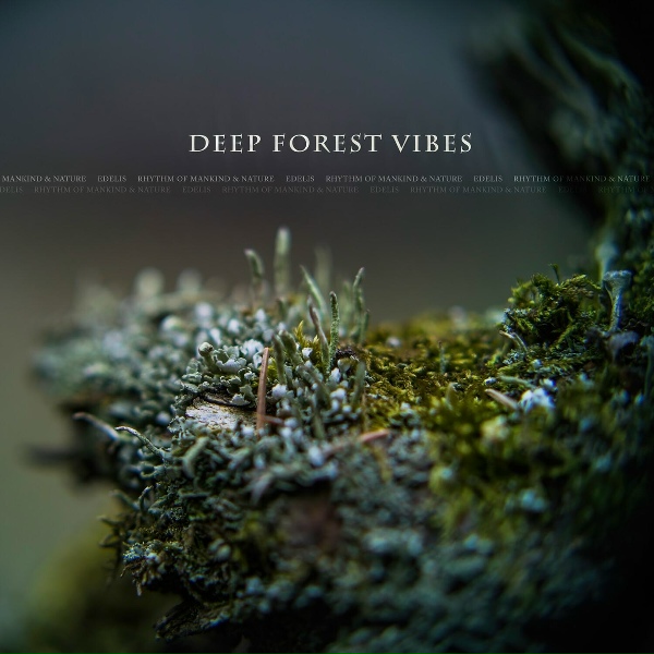 Обложка: Rhythm of Mankind & Nature - Heart of the Forest