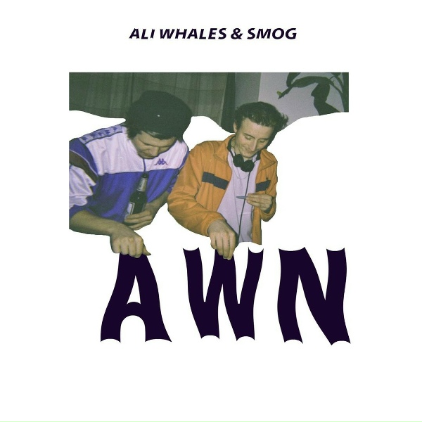 Обложка: Ali Whales, smog - Discoskit