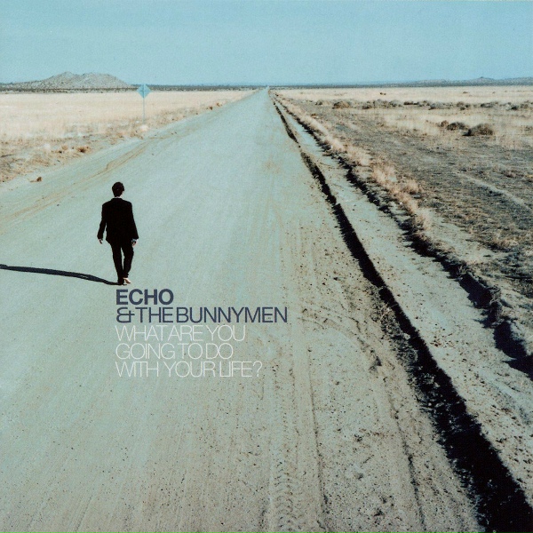 Обложка: Echo & The Bunnymen - Rust