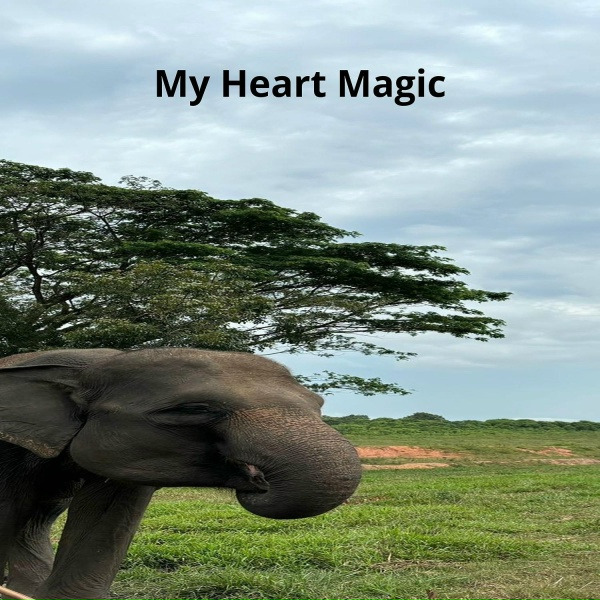 Обложка: Ginan Indi - My Heart Magic