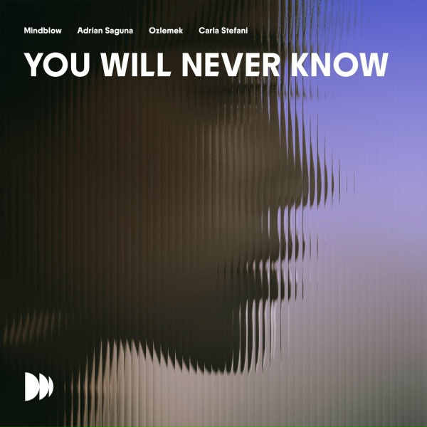 Обложка: Mindblow, Adrian Saguna, OZLEMEK, Carla Stefani - You Will Never Know