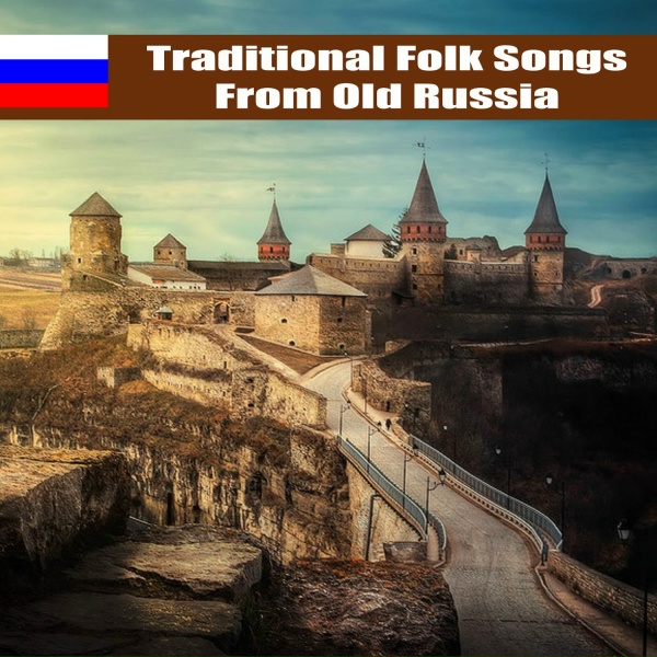 Обложка: The Sveshknikov Choir - Singing in the Choir